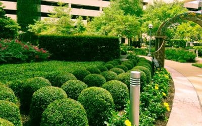 A List of Commercial Landscaping Services and Projects That Will Improve Your Companies Image…