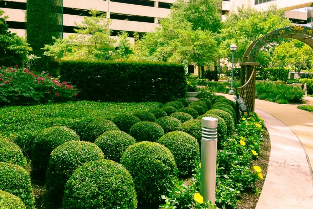 A List of Commercial Landscaping Services and Projects That Will Improve Your Companies Image…