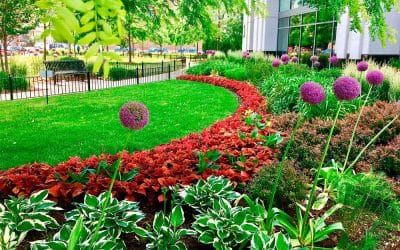 How To Elevate Your Commercial Property’s Image With Impactful Landscaping…