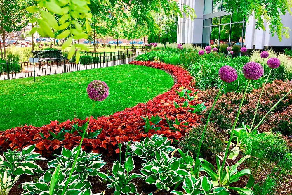 How To Elevate Your Commercial Property’s Image With Impactful Landscaping…