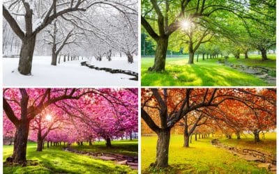 Understanding the Seasonal Landscape Calendar for Northern Kentucky and Greater Cincinnati…