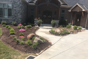Front yard landscaping in front of a brick house with a curved concrete path, flower beds, shrubs, and pink blossoms near the entryway.