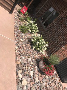 Rocky desert-style front yard with a brick house, white flowering shrubs, and a round planter of red flowers near a window; a red flag on a stake is visible in the garden bed.