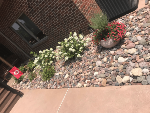 Rocky desert-style front yard with a brick house, white flowering shrubs, and a round planter of red flowers near a window; a red flag on a stake is visible in the garden bed.