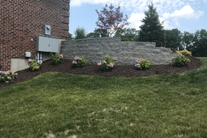 Landscaped slope with a layered gray block retaining wall, flowering hydrangeas, and brown mulch beside a brick building.