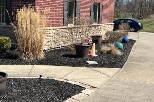 Front landscaping bed with tall dried grasses, a large pot, an orange traffic cone, and blue/green decorative spheres near a brick building and a parked car.