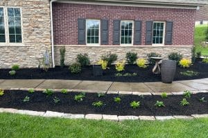 Front yard landscaping in front of brick house: mulch beds, yellow-green shrubs, decorative planters, and a stone-bordered walkway edge.