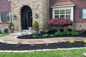Front entry of a brick-and-stone house with a curved concrete walkway, mulched flower beds, and a purple-leaf Japanese maple near the doorway.